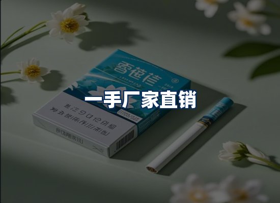 专业团队办公环境
